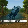 TerraFirmaSquid(TFS)