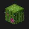 Remodeled Cactus