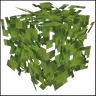 Less Obstructive Better Leaves