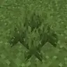 Bushy Vegetation