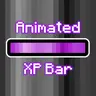 Animated Purple XP Bar