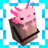 Imersive Bucket