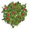 JS Leaves+