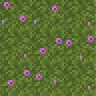 Simple Flowered Moss