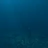 Underwater Sky