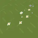 Bare Bones Better Grass