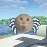 Cat meme spider  耄耋蜘蛛