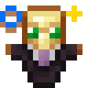Vanilla SMP - DonutSMP