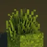 Rad's Lush Foliage
