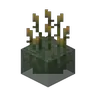 Water Firefly Bush