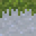 Mossy Moss Carpets!