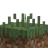 Verdant Verdure