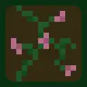 Pink Flowering Vines