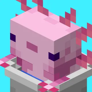 Three-Dimentional Item Model