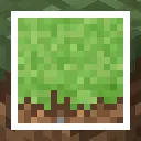 Lower Grass