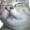 Cat Totem