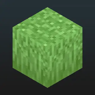 Fancy Full Block Grass