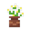 Bare Bones x Fresh Flower Pots