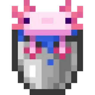 Unique Axolotl Buckets