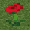 Spatial Cross Models