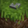 Joel's Better Grass