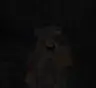 Femboy totem of undying