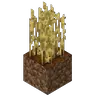 Tall Wheat