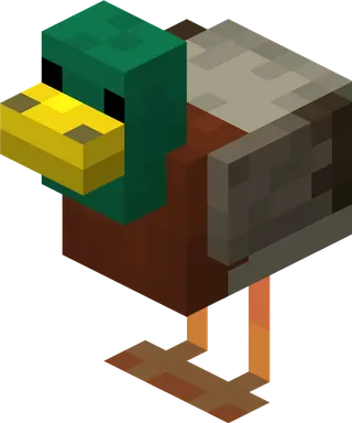 DUCK