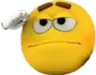 Totem of o7 7tv emote