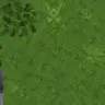 REALISM CRAFT PANORAMA