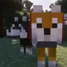 Shiba-dog