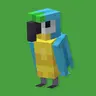 remodeled parrots