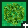 Leaves Experience+