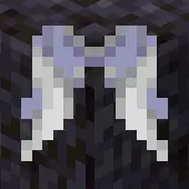 Feathered Elytra