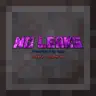 no to leaks