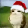 Xmas meowl Totem of Undying