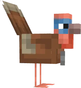 Chickens To Turkey