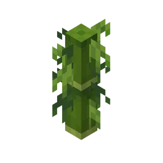 Dungeons Bamboo