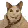 Boo, scared? Don't be afraid! (Бу, испугался? Не бойся!)
