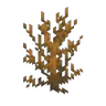 More Dead Bushes