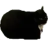 Maxwell Cat in Minecraft