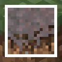Lower Mycelium