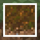 Lower Podzol