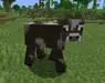 Revert New To Old Cows