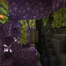 Darius' Amethyst Geode Panorama