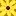 BetterSunflowers