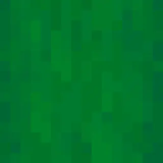 Green Poplar Wood
