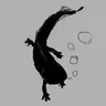 Null Axolotl