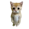 Sad cat totem