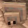 Cute Blocky Silverfish